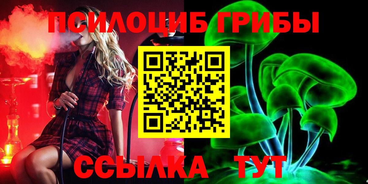 Галлюциногенные грибы GOLDEN TEACHER  где купить наркотик  Костомукша  Вход с VPN 