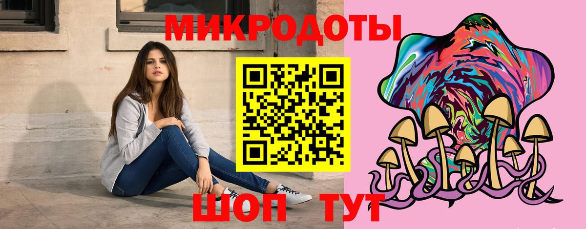 Псилоцибиновые грибы Cubensis Костомукша